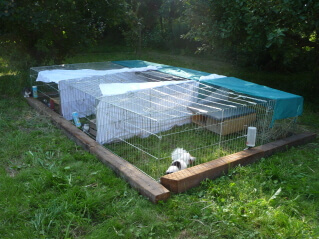 Meerschweinchengehege aus Metall im Garten